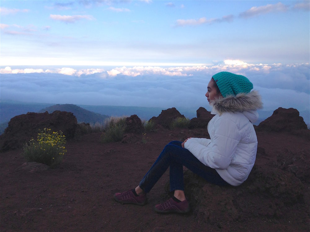 big island, hawái - hilo