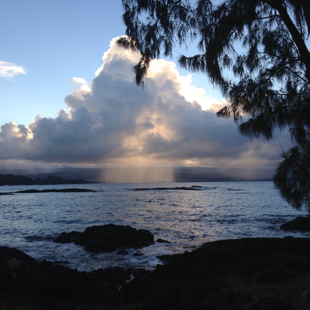 big island, hawái - hilo